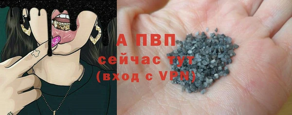 индика Богданович