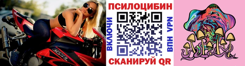 Псилоцибиновые грибы GOLDEN TEACHER  магазин продажи   omg ССЫЛКА  Сибай 