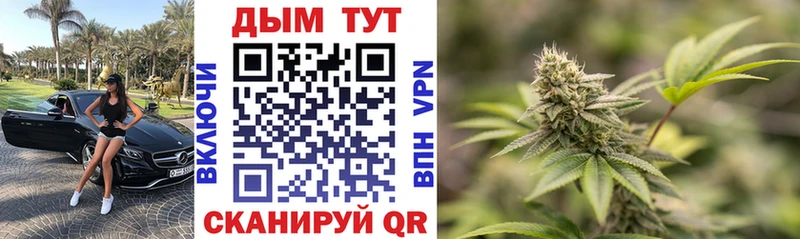 где найти   Сибай  даркнет наркотические препараты  Каннабис Bruce Banner 